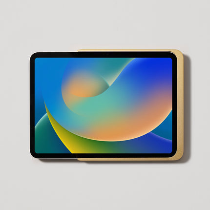 Displine Dame Wall Home 2.0 voor iPad Pro 11