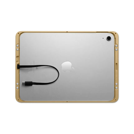 Displine Displine Dame Wall 2.0 Wandhouder voor iPad Pro 13" (M4/M5) Goud