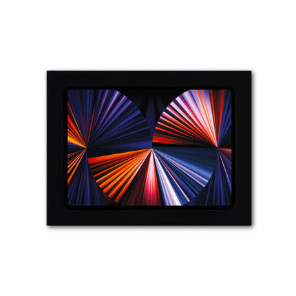 Displine Whiz iPad Air  / Pro 11