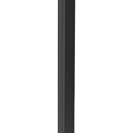 Maclocks iPad Pro M4/iPad Air M2 2024 APEX Behuizing Draagbare vloerstandaard